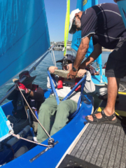 Mitchell in harness