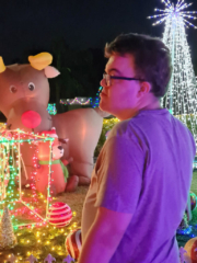 Mitchell looking at Christmas lights