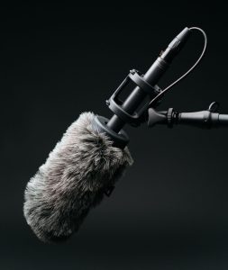 Fluffy microphone for an interview
