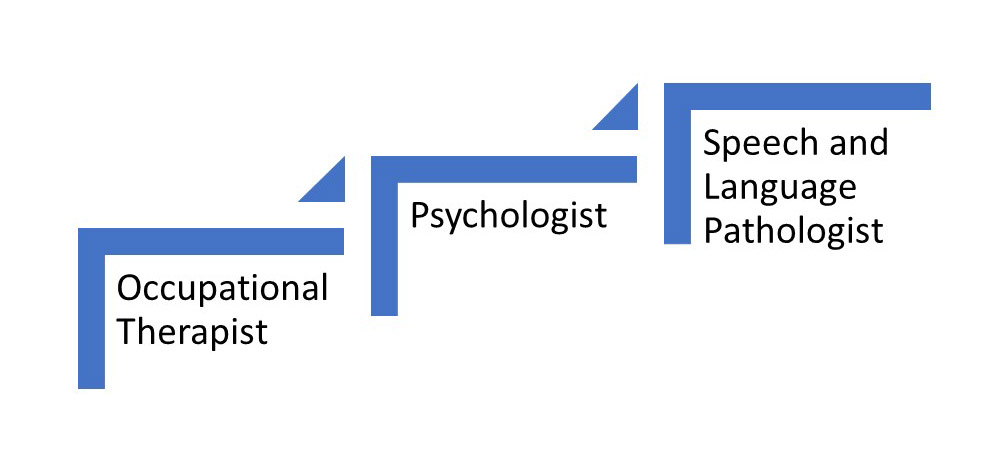OT, Psychologist, SLP steps